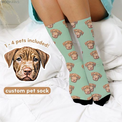 Custom pet photo socks